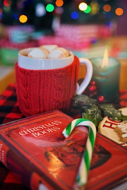 Christmas image of book and hot chocolate by Jill Wellington from Pixabay